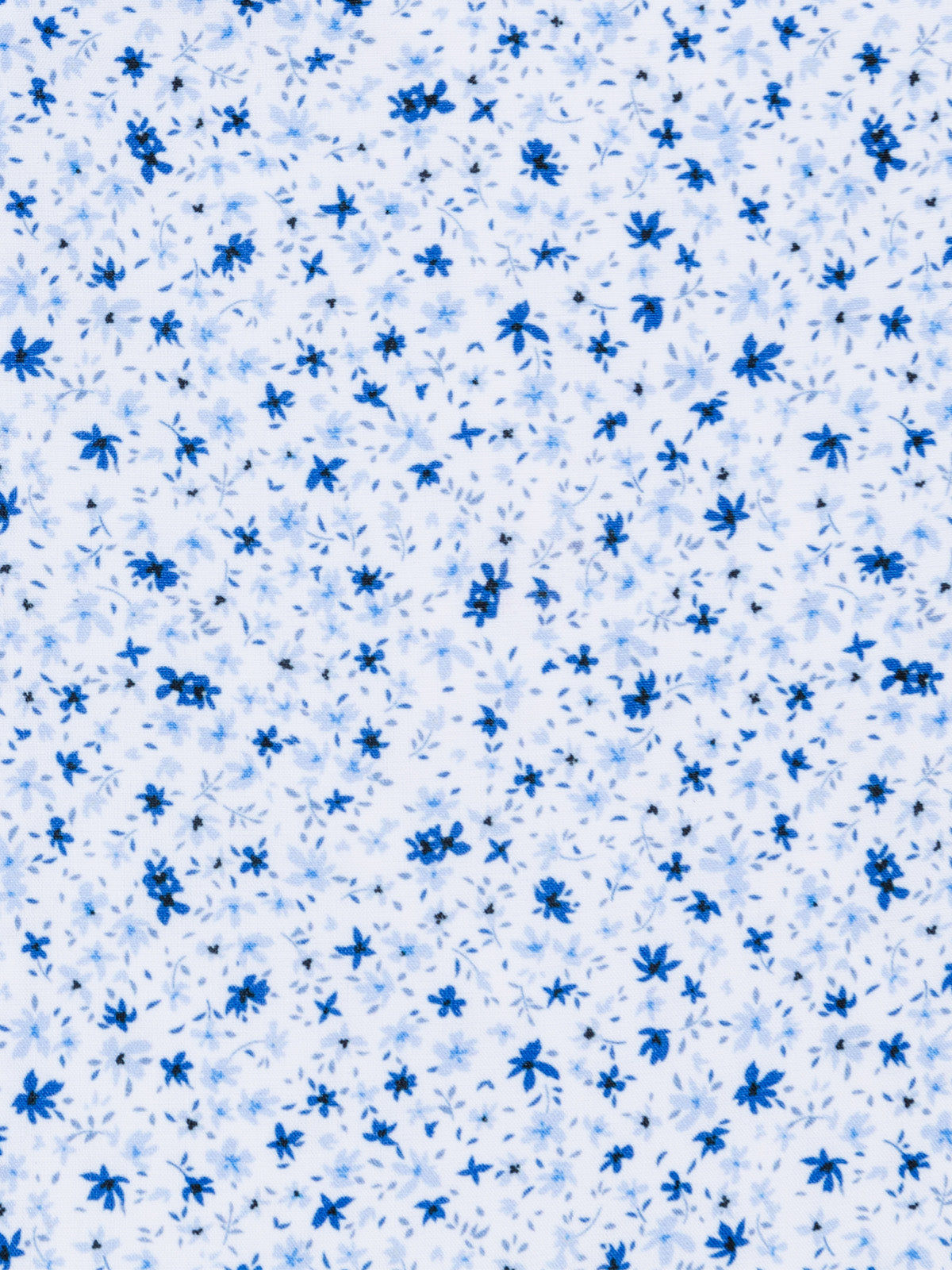 WHITE/BLUE