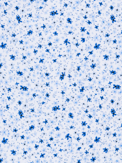 WHITE/BLUE