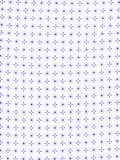 WHITE/PURPLE