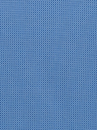 NAVY/BLUE