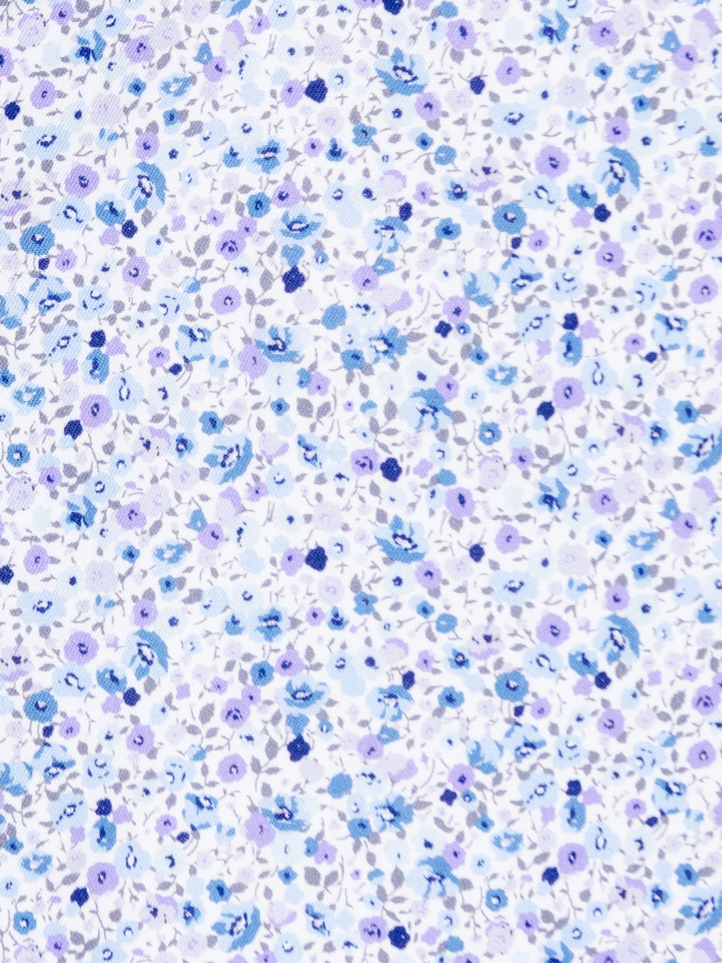 WHITE/BLUE