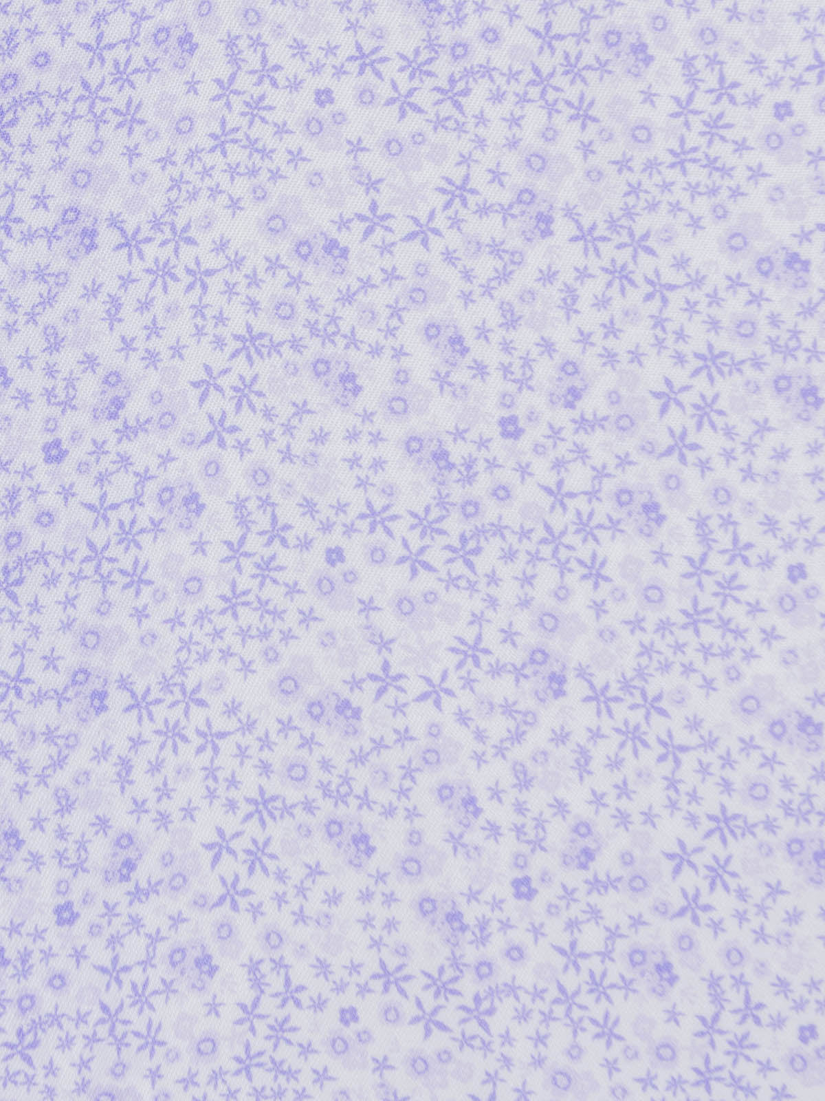 WHITE/PURPLE