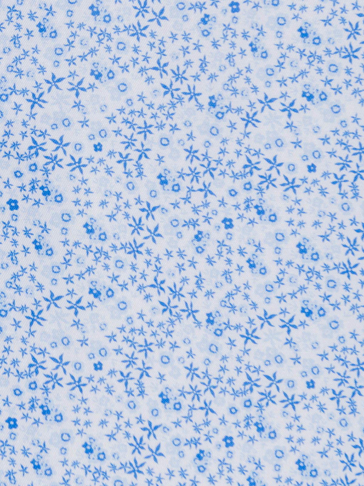 WHITE/BLUE