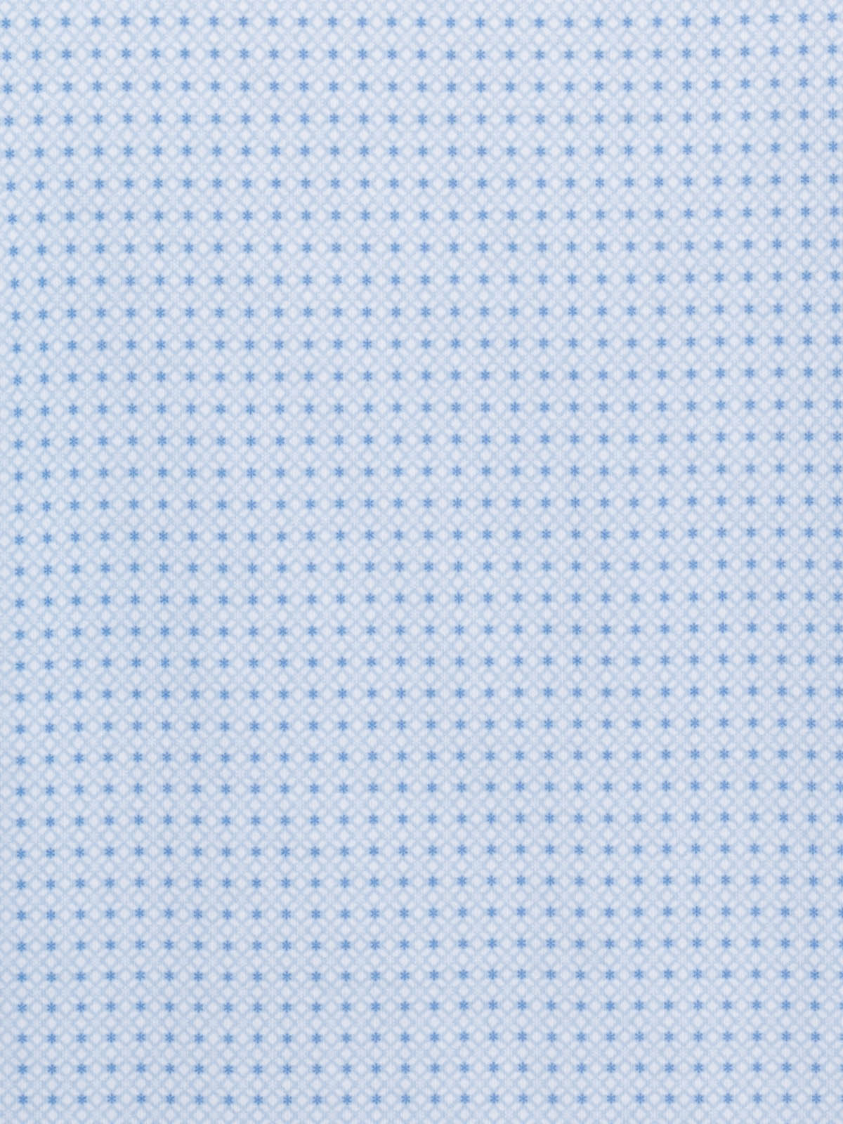 WHITE/BLUE