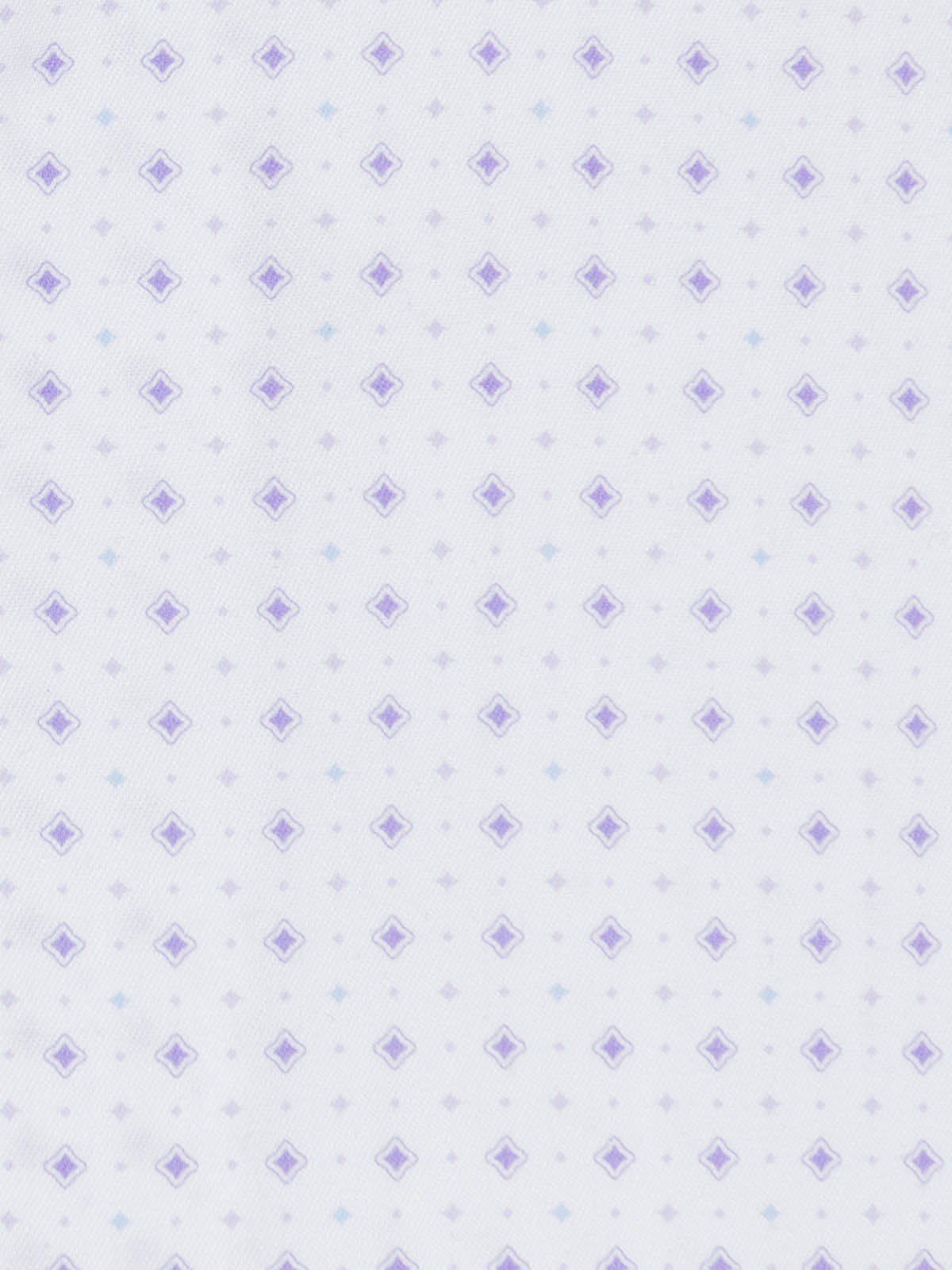 WHITE/PURPLE