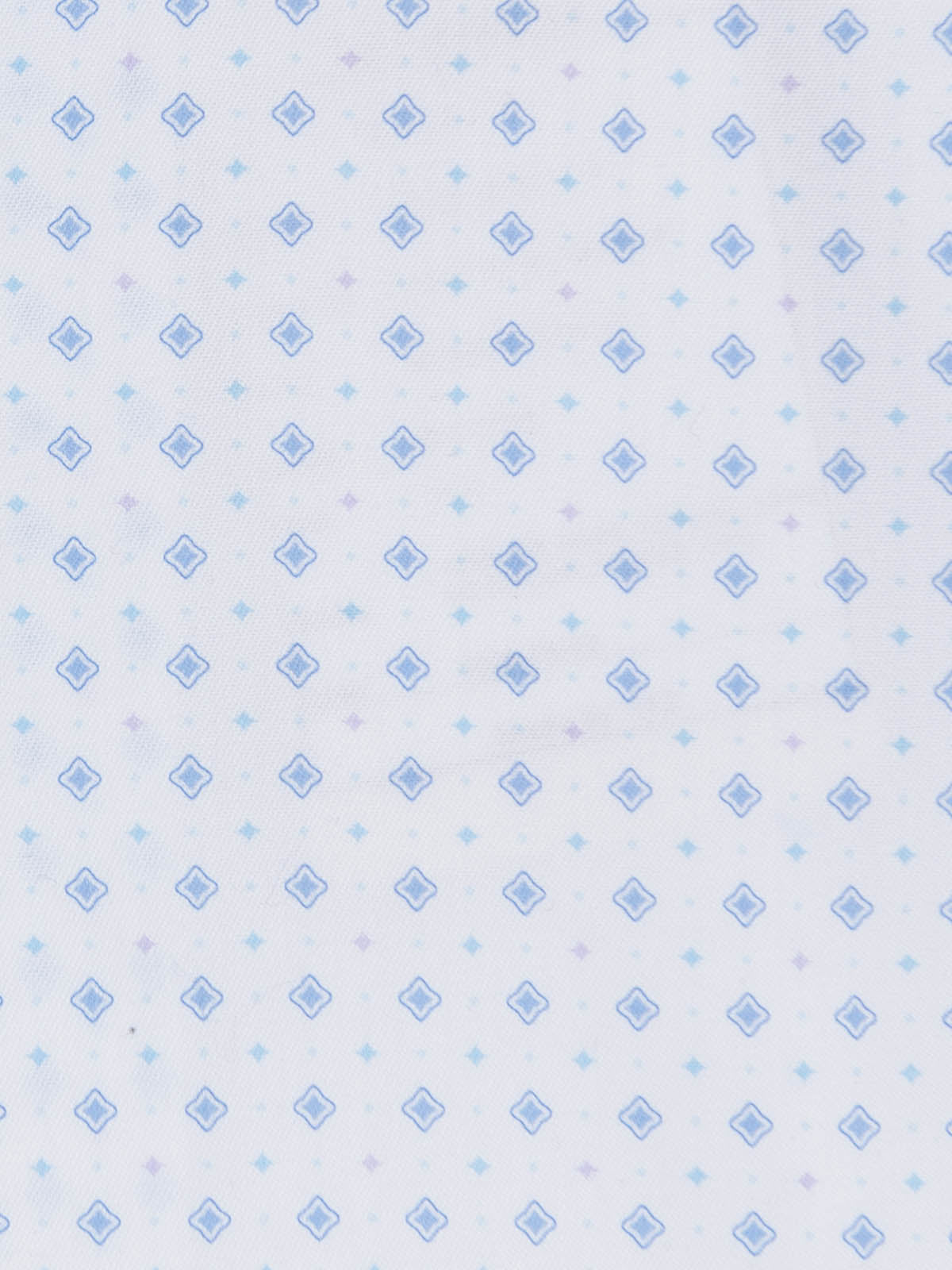 WHITE/BLUE