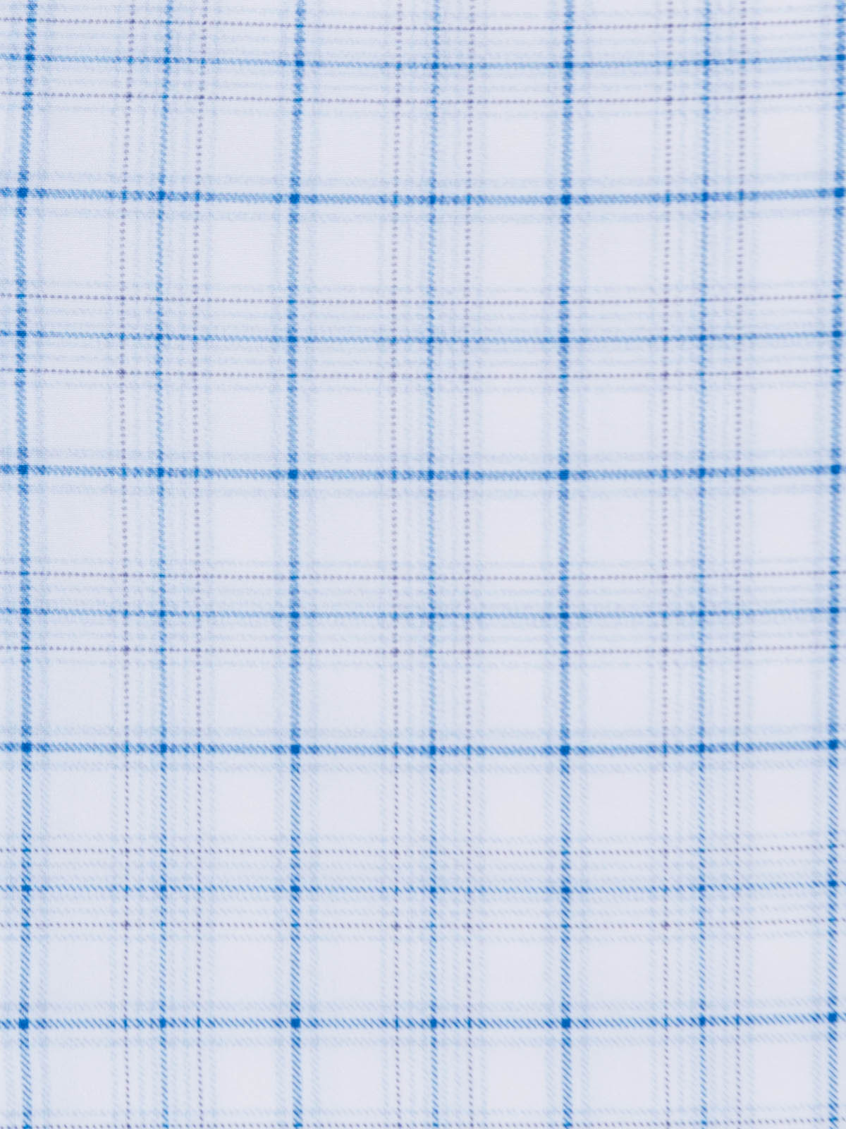 WHITE/BLUE