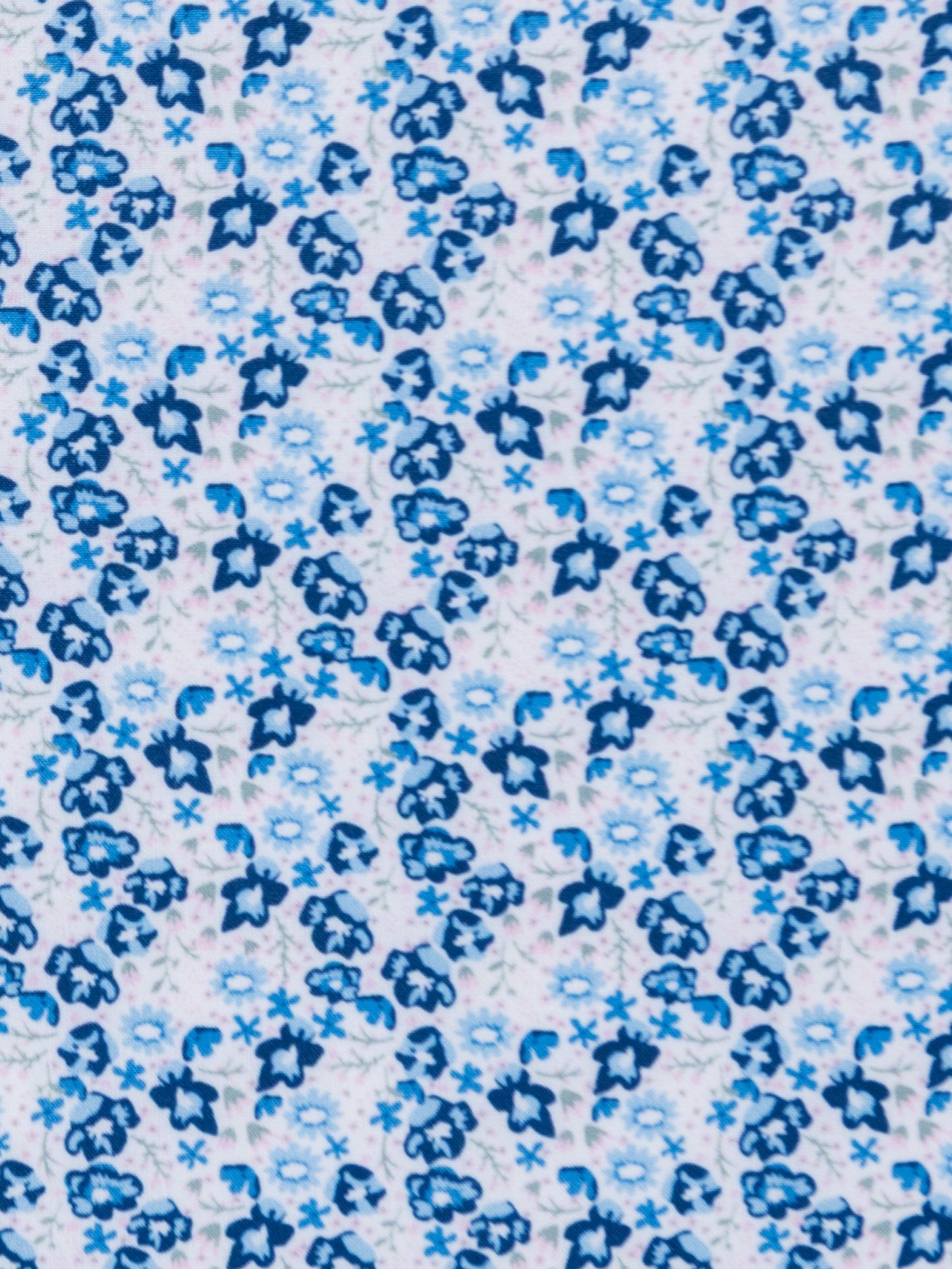 WHITE/BLUE