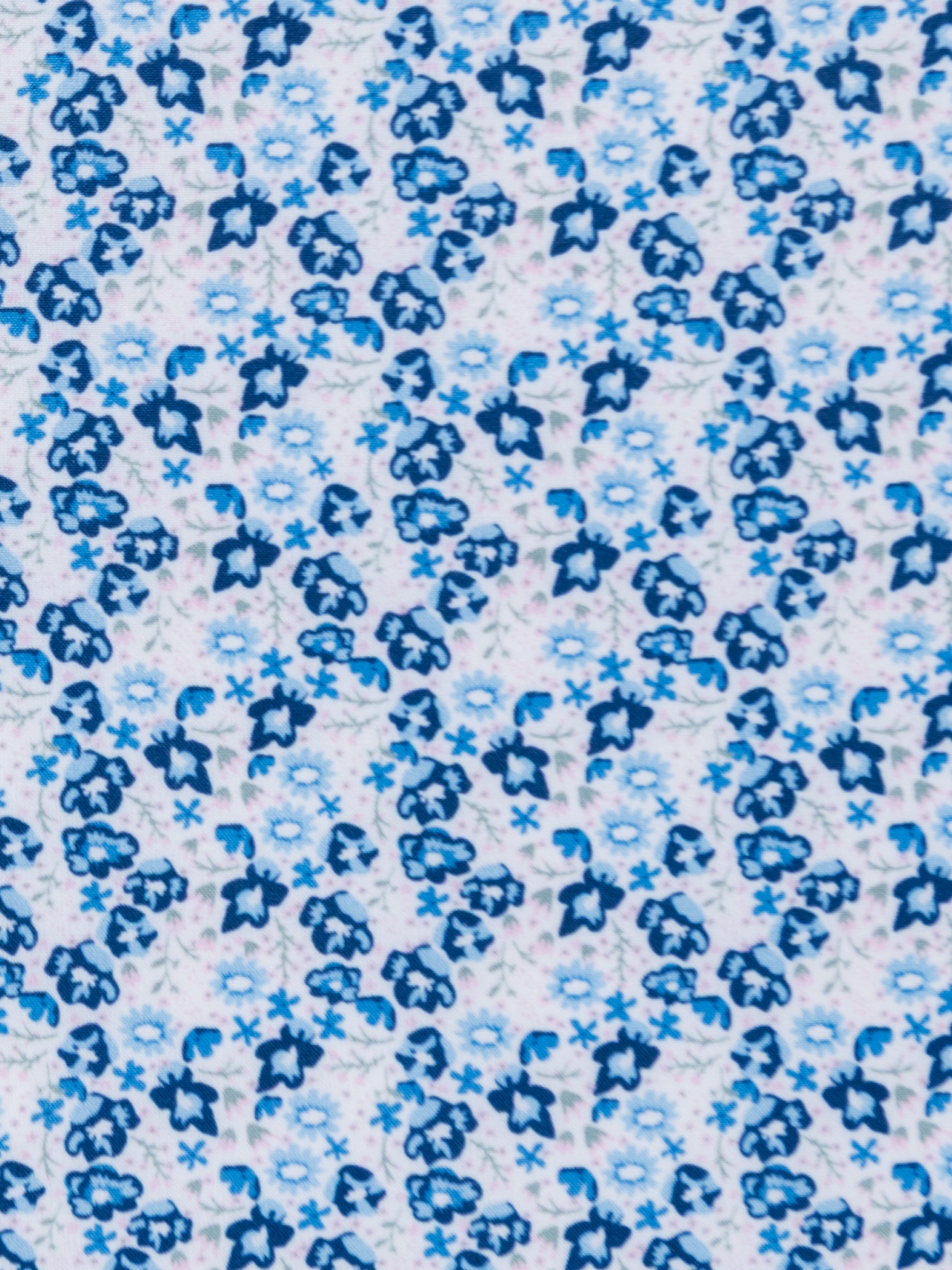WHITE/BLUE
