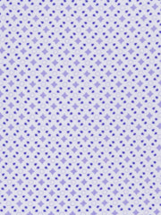 WHITE/PURPLE