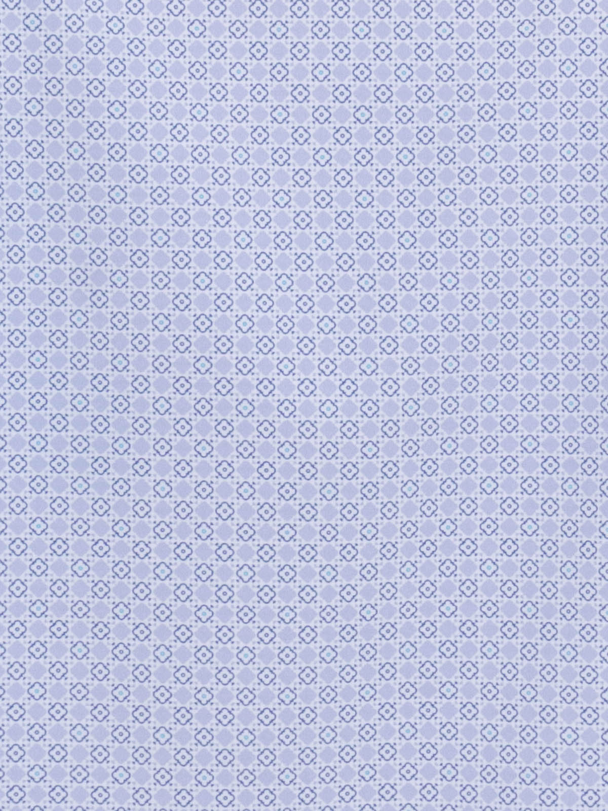 WHITE/PURPLE