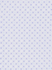 WHITE/PURPLE