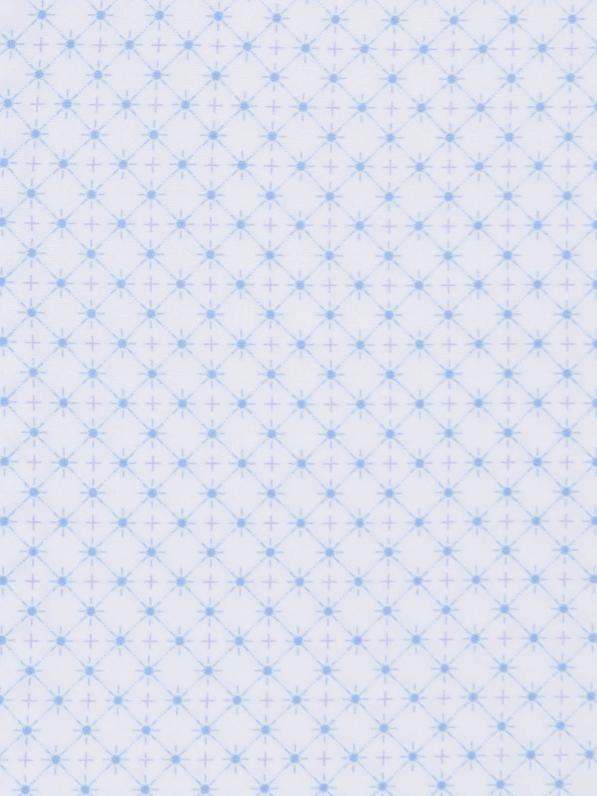 WHITE/BLUE