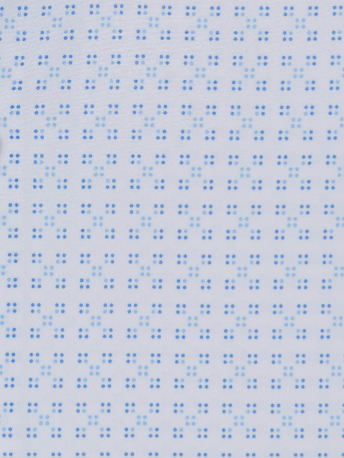 WHITE/BLUE