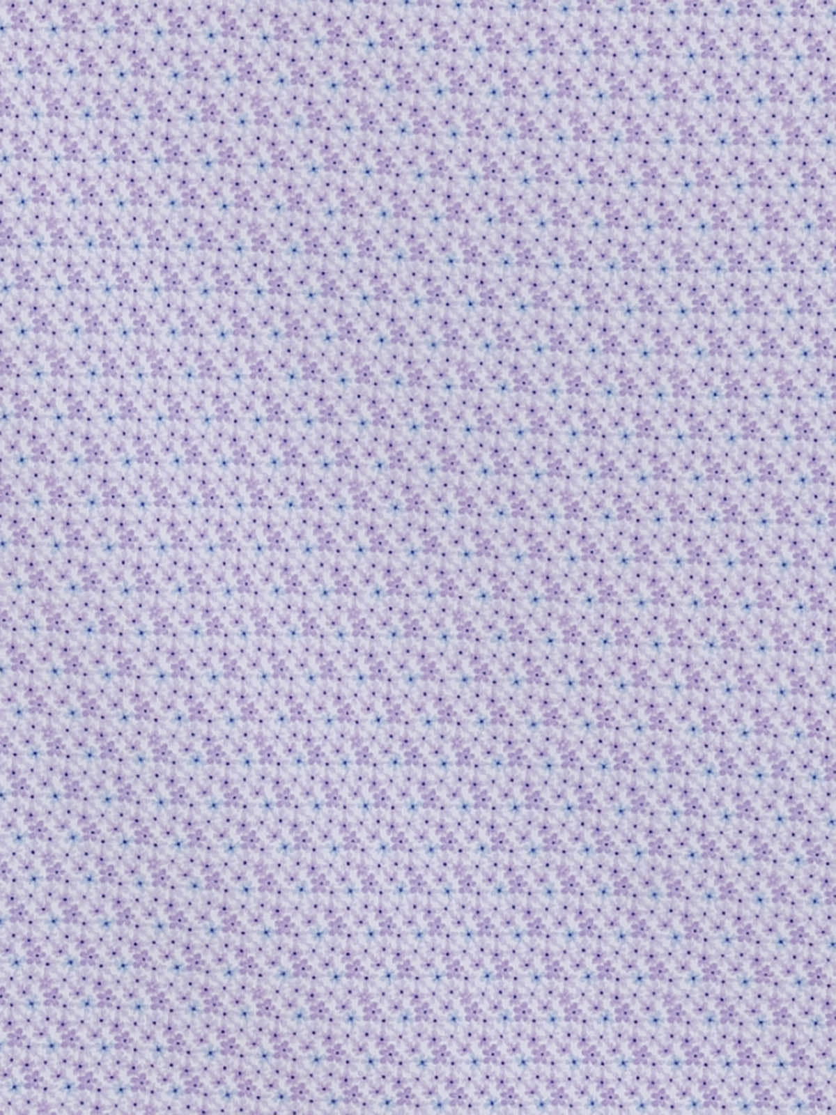 WHITE/PURPLE