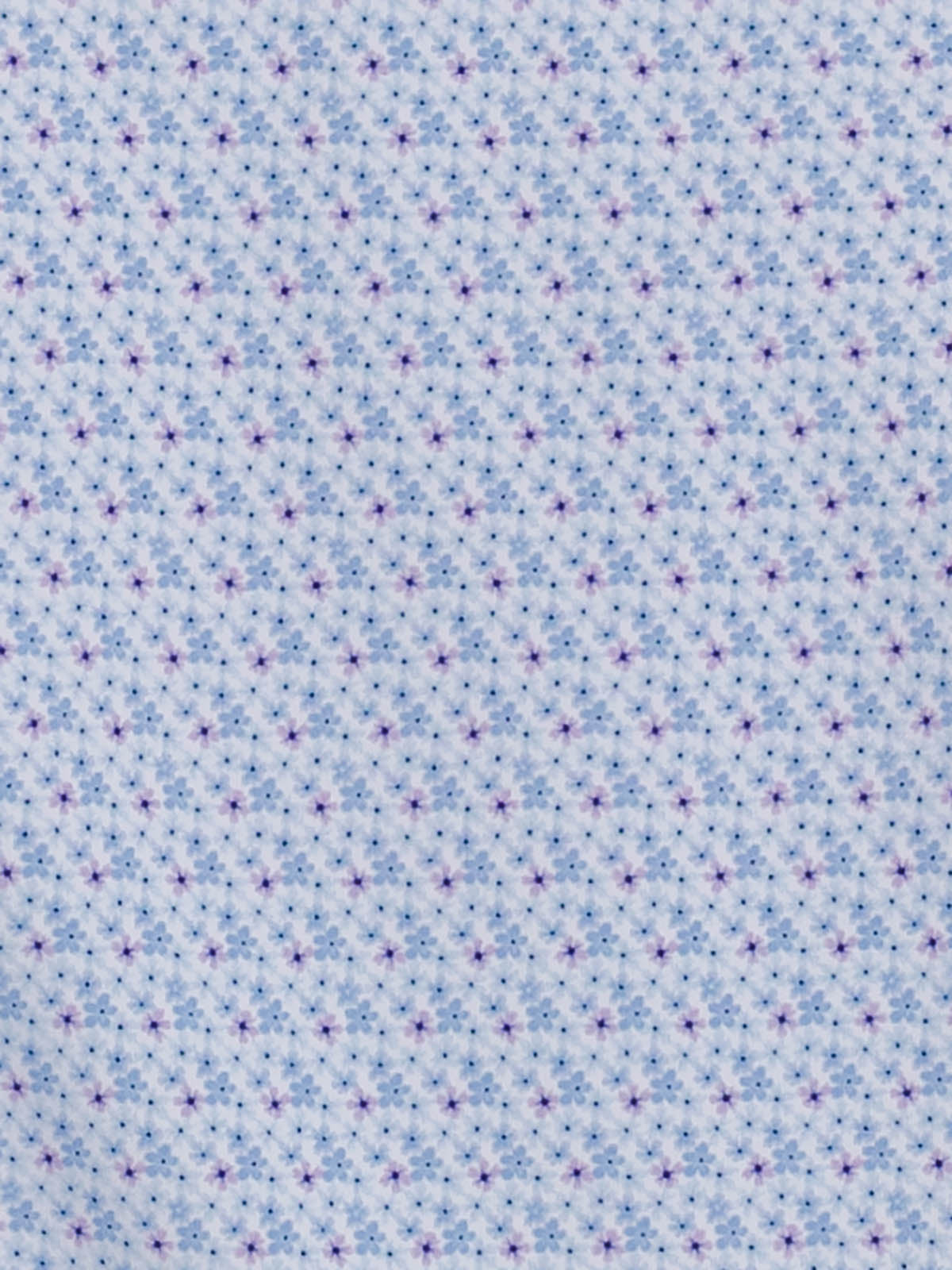 WHITE/BLUE