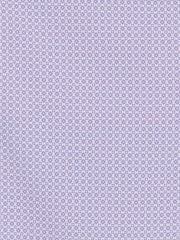 WHITE/PURPLE