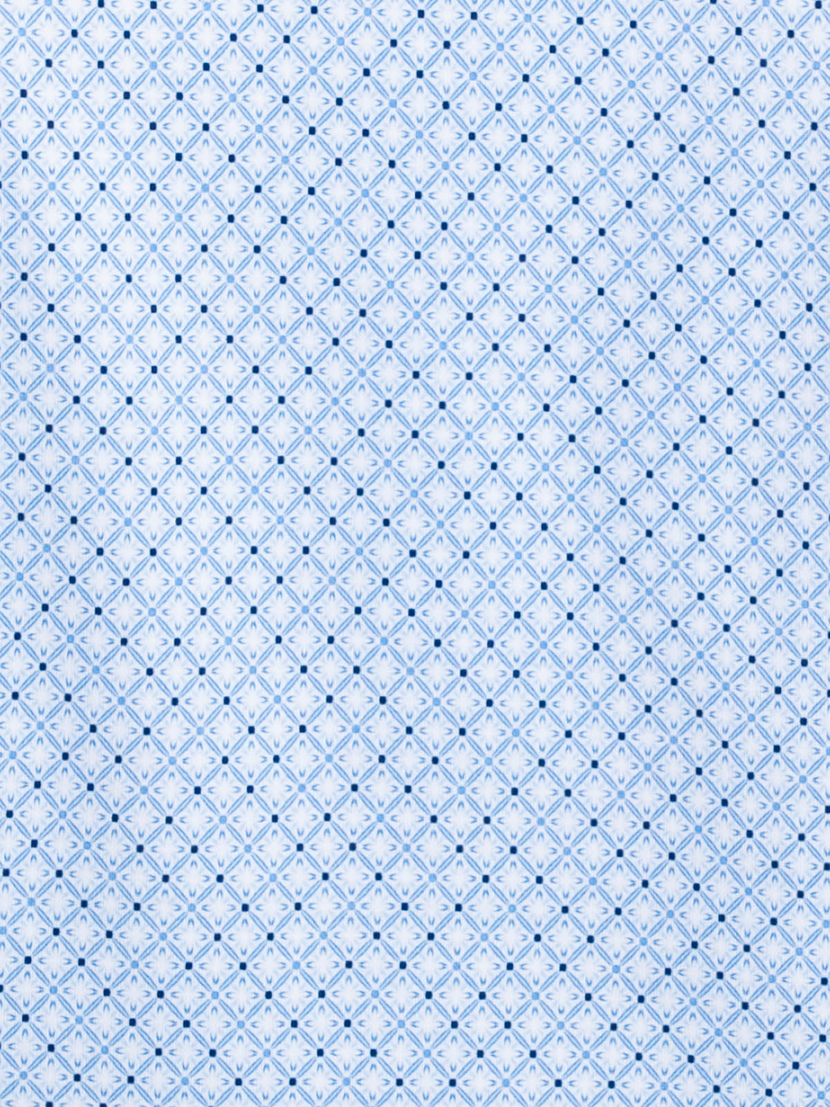WHITE/BLUE