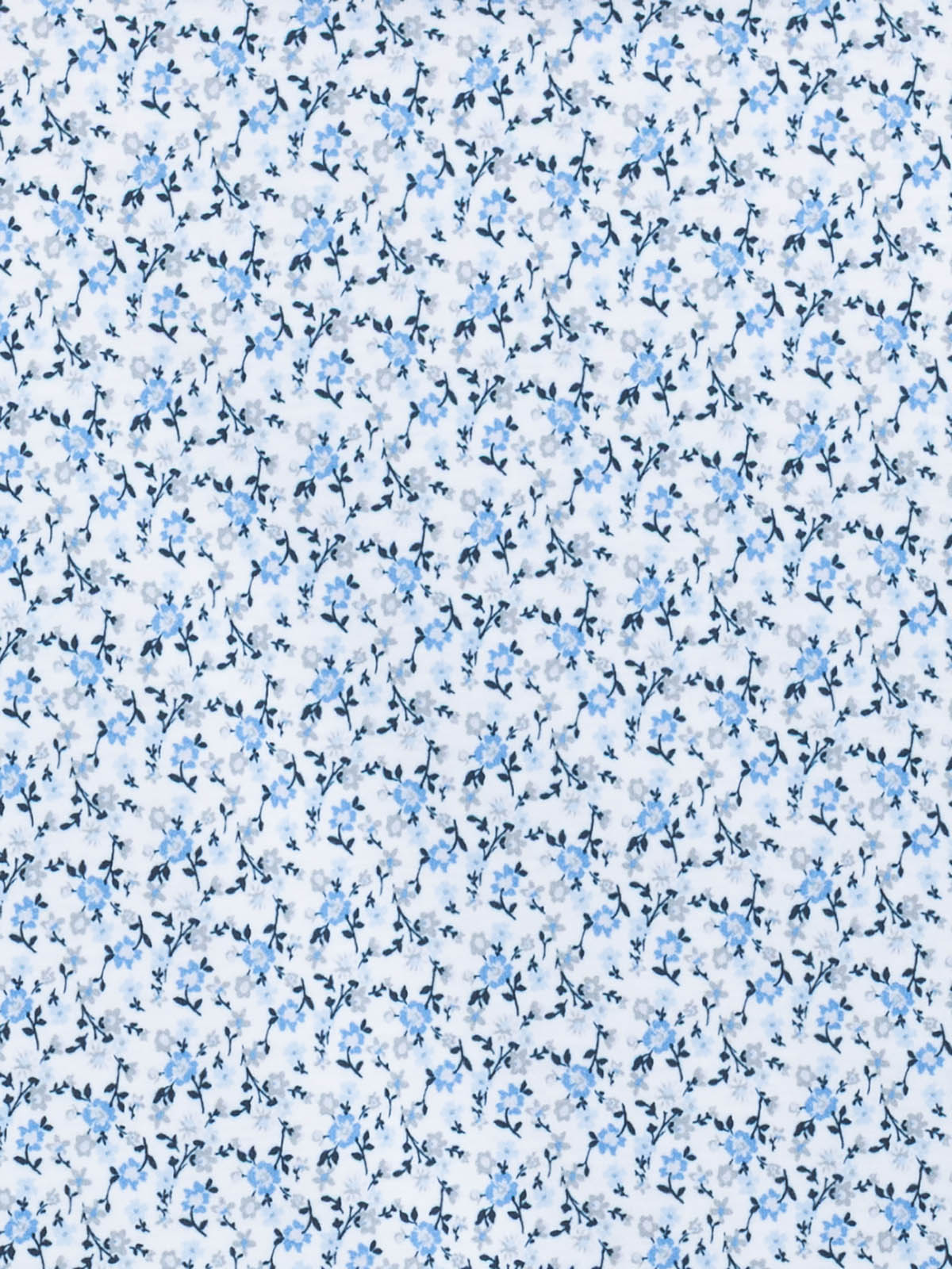 WHITE/BLUE