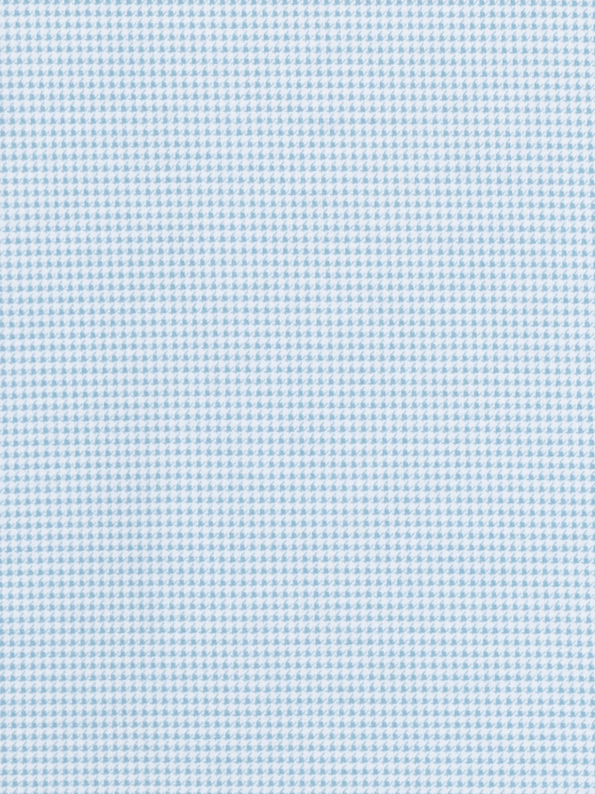 WHITE/TEAL