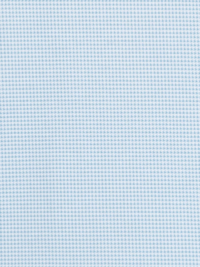 WHITE/TEAL