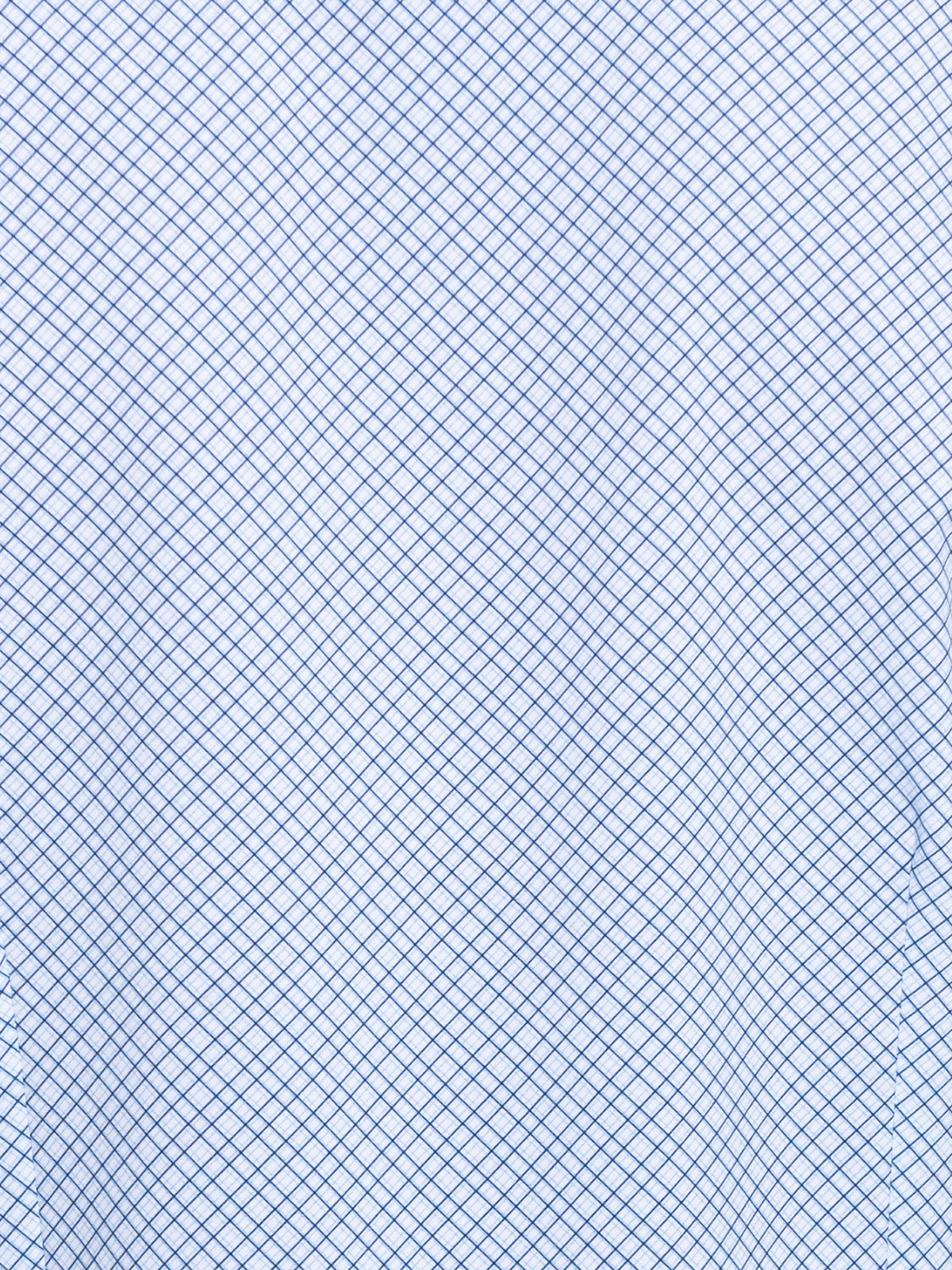 WHITE/BLUE