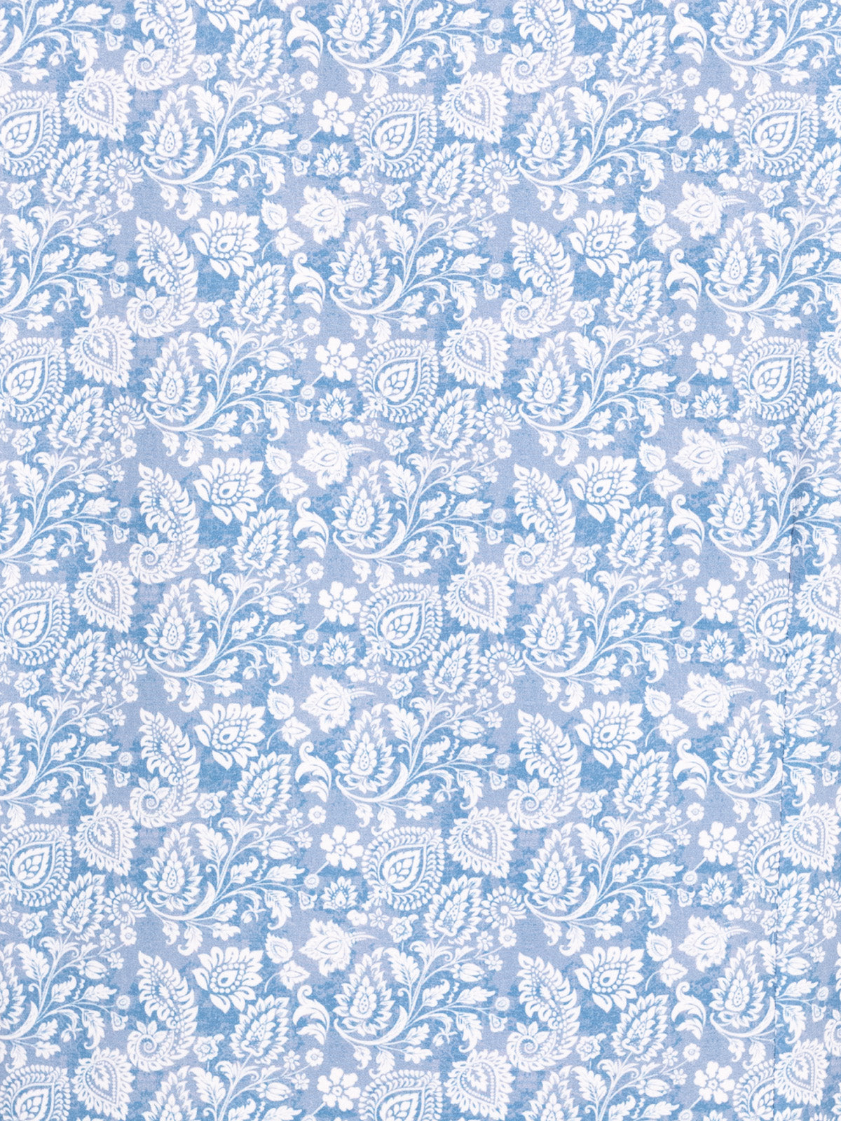 WHITE/BLUE