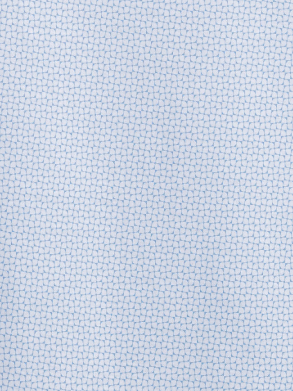 WHITE/BLUE